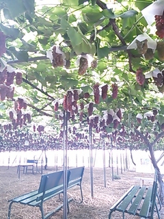 2013-07-22 16.02.00.jpg