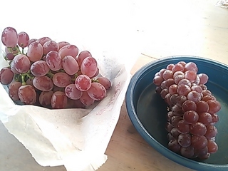 2013-07-22 16.05.55.jpg