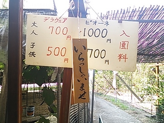 2013-07-22 16.10.35.jpg