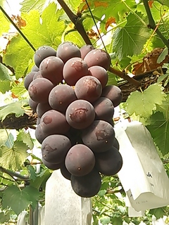 2013-07-22 16.34.17.jpg