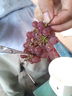 2013-07-22 16.47.56.jpg