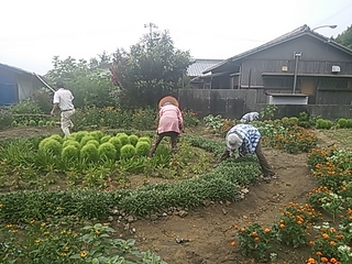 2013-07-29 09.32.46.jpg