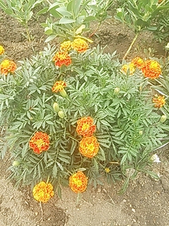 2013-07-29 09.32.56.jpg