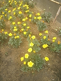 2013-07-29 09.33.25.jpg