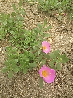 2013-07-29 09.33.48.jpg
