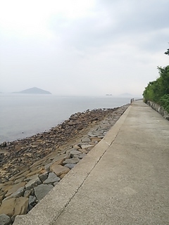 2013-07-29 11.03.51.jpg