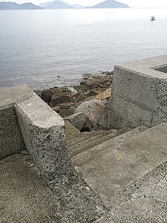 2013-07-29 11.26.23.jpg
