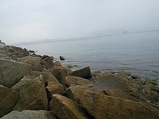 2013-07-29 11.26.59.jpg