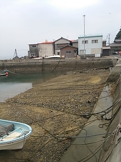 2013-07-29 11.37.13.jpg