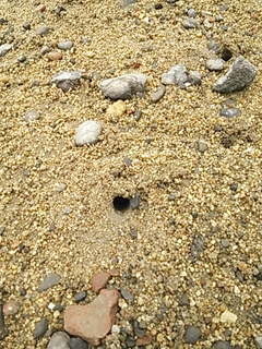 2013-07-29 11.39.19.jpg