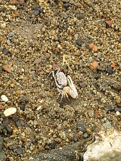 2013-07-29 11.46.11.jpg