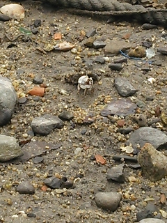 2013-07-29 11.53.19.jpg