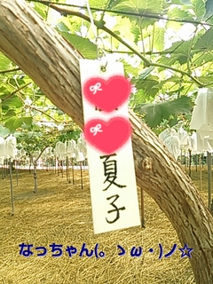 2013-08-01_19.47.19.jpg