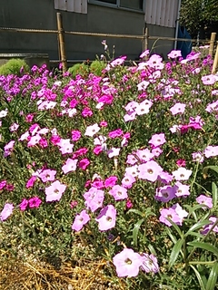 2013-08-19 10.48.27.jpg