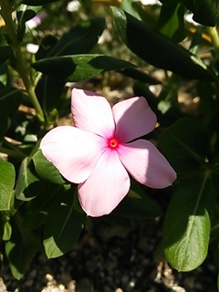 2013-08-19 10.49.39.jpg