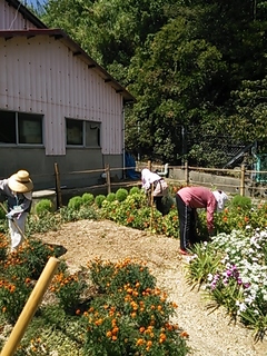 2013-08-19 11.07.36.jpg