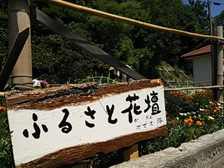 2013-08-19 11.08.41.jpg