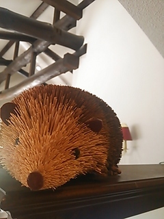 2013-08-20 13.22.27.jpg
