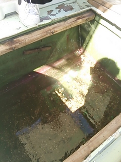2013-09-17 13.50.56.jpg