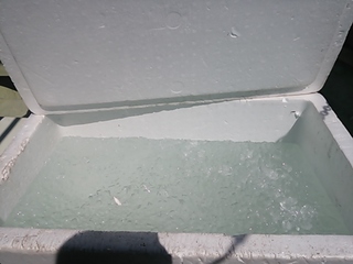 2013-09-17 13.52.03.jpg