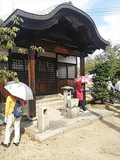 2013-09-22 09.34.02_R.jpg