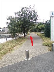 2013-10-08 15.51.35_R.jpg