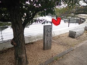 2013-10-08 15.51.51_R.jpg