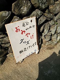 2013-10-29 10.32.07_R.jpg