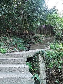 2013-11-01 12.12.42_R.jpg