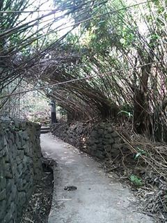2013-11-01 12.13.56_R.jpg