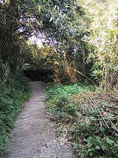 2013-11-01 12.15.33_R.jpg