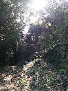 2013-11-01 12.18.16_R.jpg