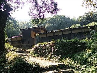 2013-11-01 12.19.32_R.jpg