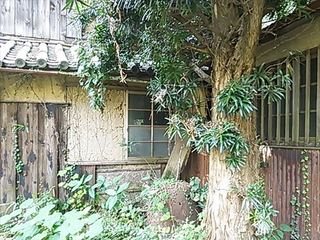 2013-11-01 12.38.37_R.jpg