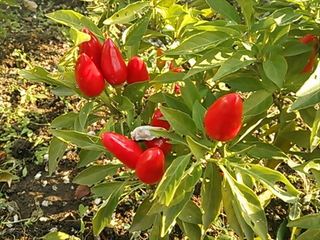 2013-12-02 10.08.57_R.jpg