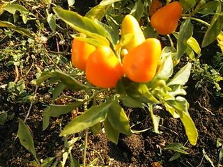 2013-12-02 10.09.03_R.jpg