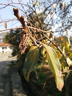 2013-12-02 11.04.50_R.jpg