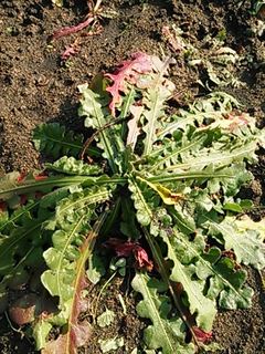 2013-12-02 11.24.51_R.jpg