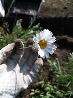 2013-12-02 12.11.48_R.jpg
