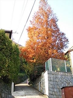 2013-12-02 13.23.21_R.jpg
