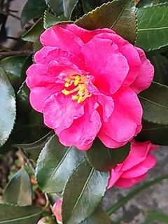 2013-12-02 13.23.49_R.jpg