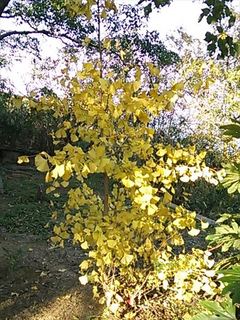 2013-12-02 13.38.07_R.jpg