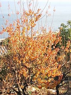 2013-12-02 13.42.06_R.jpg