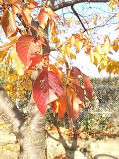 2013-12-02 14.05.03_R.jpg