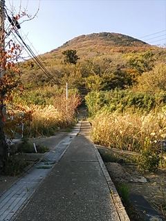 2013-12-02 14.17.58_R.jpg