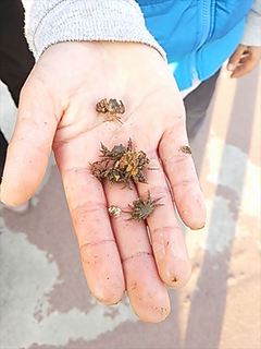 2013-12-02 15.41.41_R.jpg