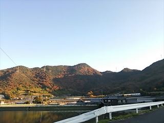 2013-12-08 15.45.36_R.jpg