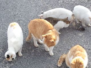 2014-01-13 15.05.32_R.jpg