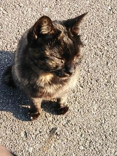 2014-01-13 15.16.46_R.jpg