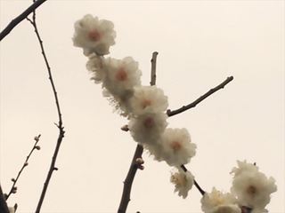 2014-03-03 00.10.12_R.jpg